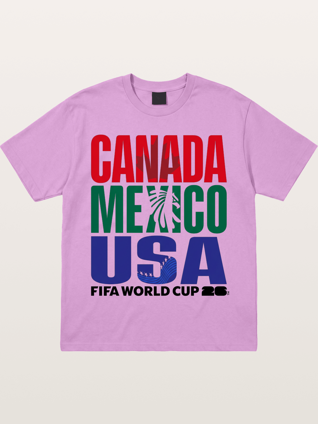 2026 World Cup Host Nations Print Gildan T-shirt